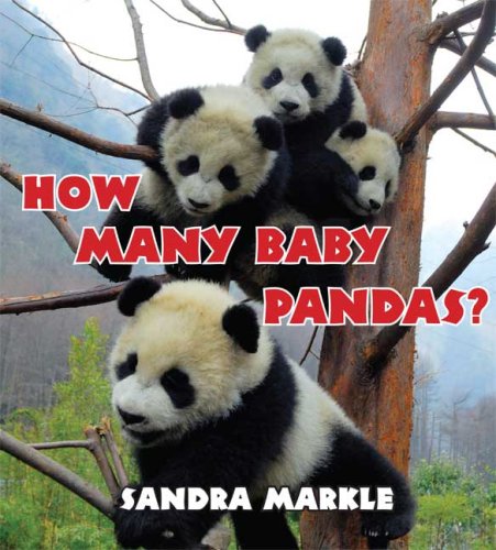 How many pandas? by Sandra Markle
