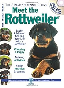 Meet the Rottweiler