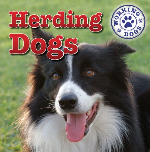 Herding Dogs by Mary Ann Hoffman