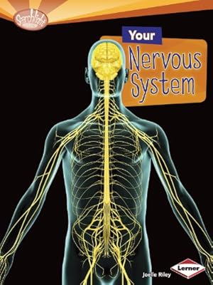 Your Nervous System