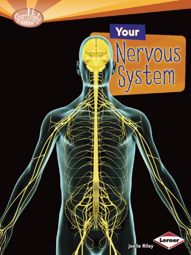 Your Nervous System by Joelle Riley