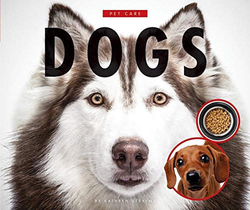 Dogs by Kathryn Stevens