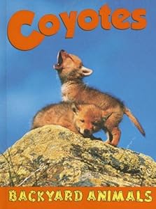 Coyotes