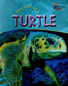 Life of a Turtle (Life Cycles)