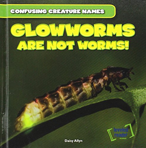 Glowworms Are Not Worms! by Daisy Allyn