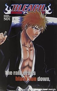 Bleach SOULs. Official Character Book