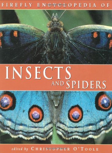 Firefly Encyclopedia of Insects and Spiders by Christopher O'Toole