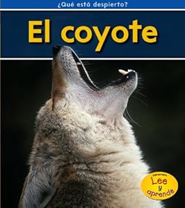 El coyote