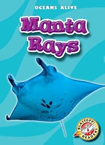 Manta Rays
