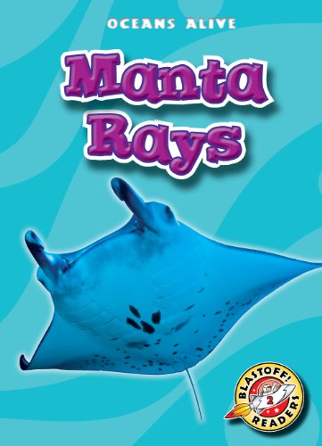 Manta Rays by Colleen Sexton