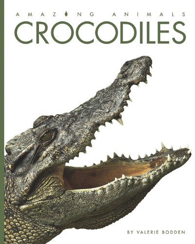 Crocodiles by Valerie Bodden