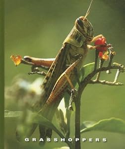 Grasshoppers (World of Insects)