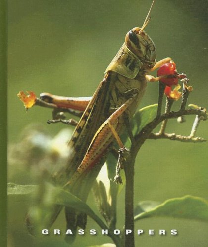Grasshoppers (World of Insects) by Sophie Lockwood