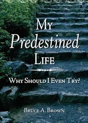 My Predestined Life: Why Should I Even Try?