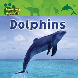 Dolphins