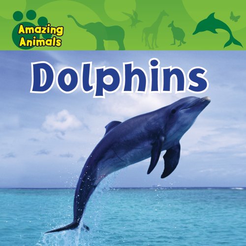 Dolphins by Sarah Albee