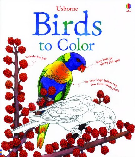 BIRDS TO COLOR By Megan Cullis & Jenny Cooper **Mint Condition**