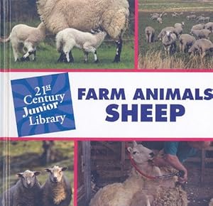 Farm Animals Sheep by Cecilia Minden