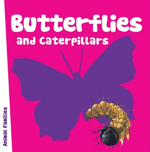 Butterflies and Caterpillars (Animal Families Board Books) by Anita Ganeri