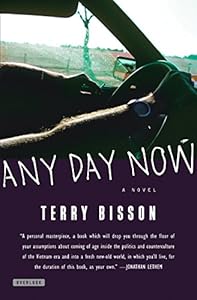 Any Day Now: A Novel