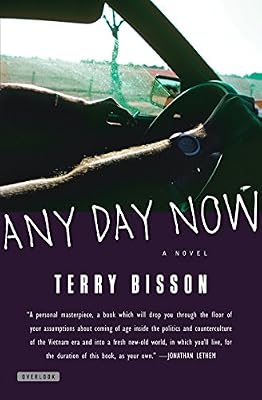 Any Day Now: A Novel