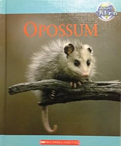 Opossum