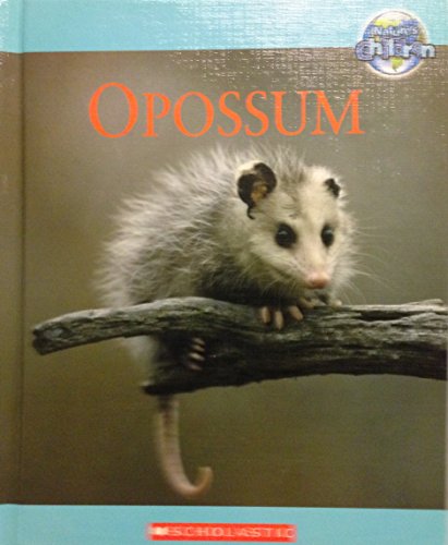 Opossum by Tom Jackson