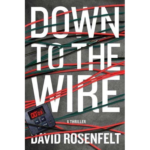 Down To The Wire by David Rosenfelt