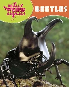 Beetles (Really Weird Animals)