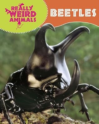 Beetles (Really Weird Animals)