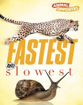 Fastest and Slowest