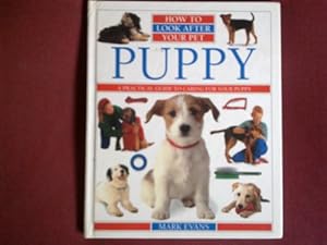 Puppy (How to Look After Your Pet)