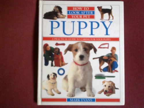 Puppy (How to Look After Your Pet) by Mark Evans