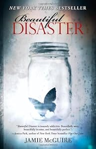 Beautiful Disaster: A Novel