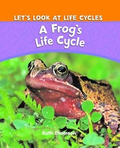 A Frog's Life Cycle