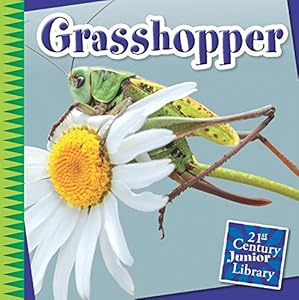 Grasshopper