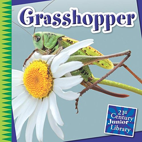 Grasshopper by Susan Heinrichs Gray