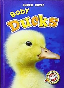 Baby Ducks