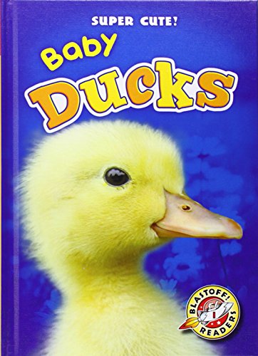 Baby Ducks by Christina Leaf