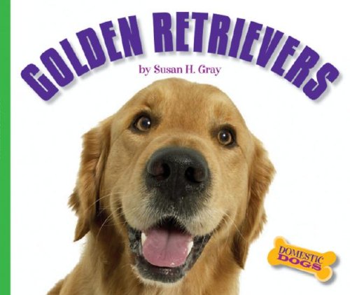 Golden Retrievers (Domestic Dogs) by Susan Heinrichs Gray