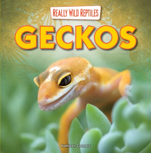 Geckos by Kathleen Connors