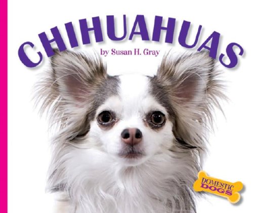 Chihuahuas (Domestic Dogs) by Susan Heinrichs Gray