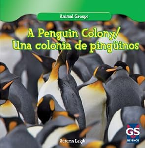 A penguin colony = Una colonia de pingu?inos