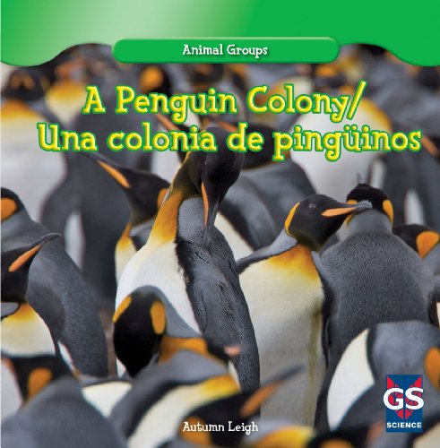 A penguin colony = Una colonia de pingu?inos by Autumn Leigh