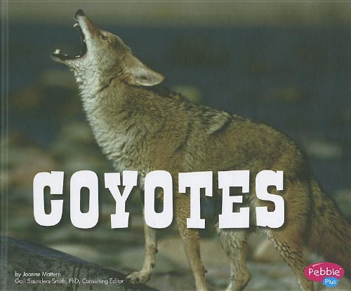 Coyotes (Pebble Plus) by Joanne Mattern