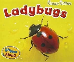 Ladybugs