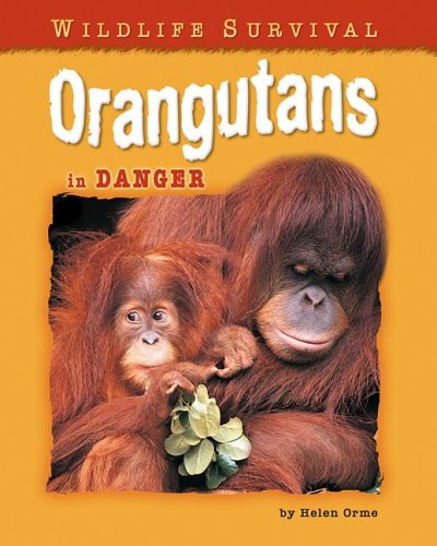 Orangutans in Danger by Helen Orme