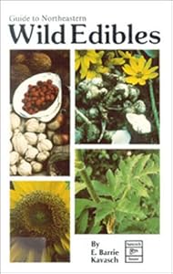 Guide to Northeastern Wild Edibles