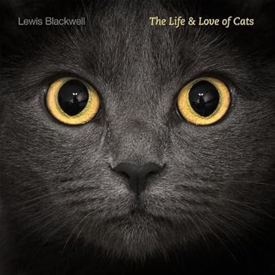 The Life and Love of Cats
