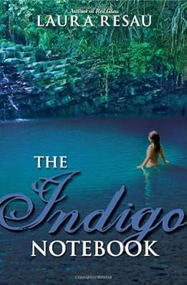 The Indigo Notebook